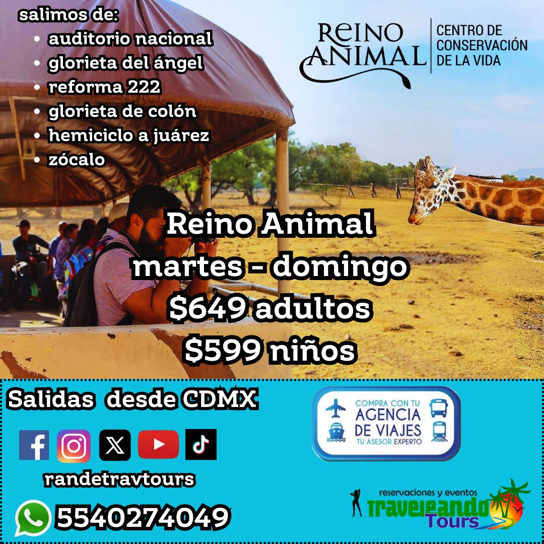 REINO_ANIMAL_TURITOUR.jpg