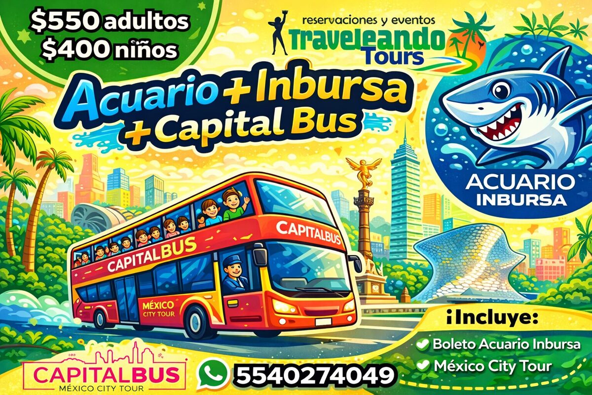 ACUARIO_INBURSA_CAPITAL_BUS-3.jpg