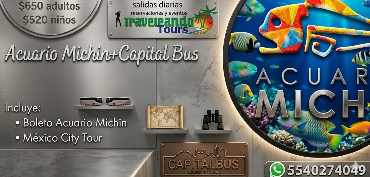 MICHIN_CAPITAL_BUS.jpg